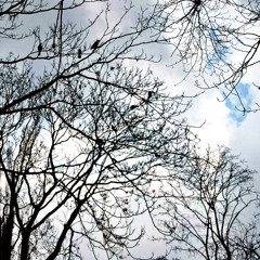 Yellowy things growing wings