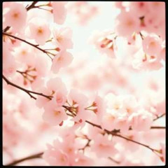 그대... 걱정 말아요 (No Worries)