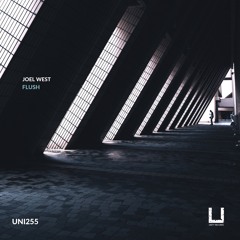 Joel West - Flush (Original Mix)