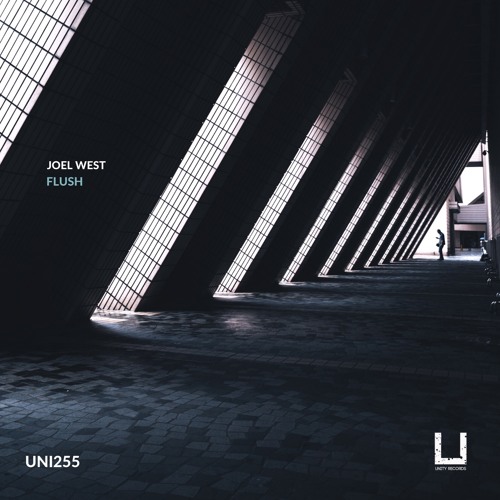 Joel West - Flush (Original Mix)