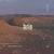 Artwork for desert wandering ◦ brie