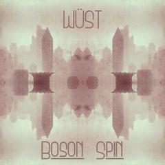 Half hidden in the haze [WÜST / Boson Spin Collaboration]