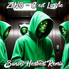 Z1NO - C’est La Vie (Sunset Herbert Jungle Drum & Bass Remix)