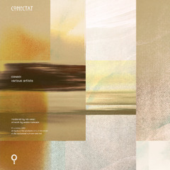 Premiere: Ted Amber - Ridama [CON001]