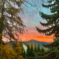 VANILLA SKY