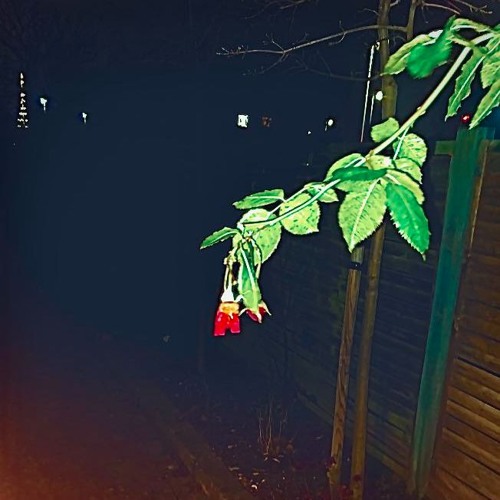 Magnus Effect (prod. B.YoungBeats)
