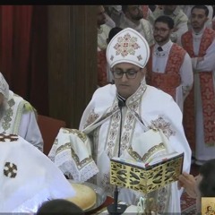 Fr maximus Ordination