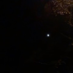 Moonset  77.7 5