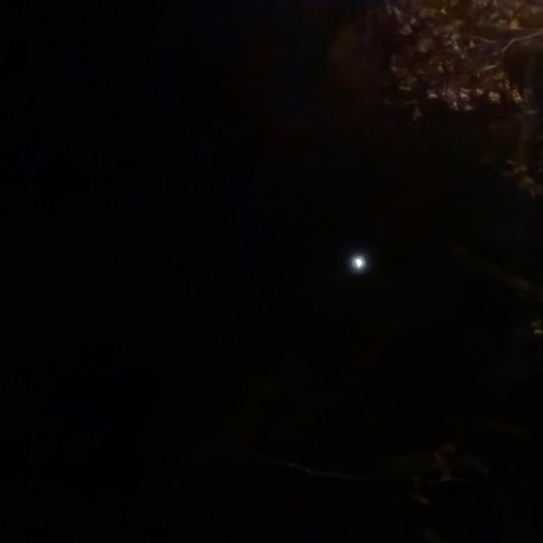 Moonset  77.7 5