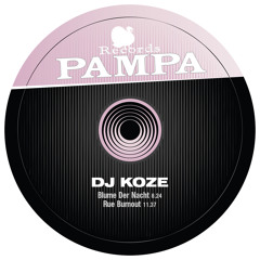☉ Pampa Records ☉