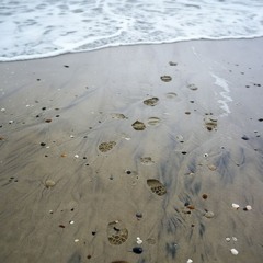 Saltwater and Cigarettes (1)