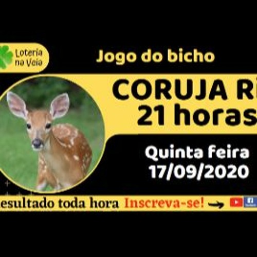 jogo bicho 2020