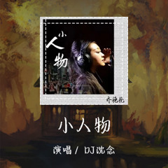 DJ沈念 - 小人物 「几十年就这样活得匆匆忙忙」【動態歌詞/pīn yīn gē cí】 #DJ沈念 #小人物 #動態歌詞 #LyricsVideo