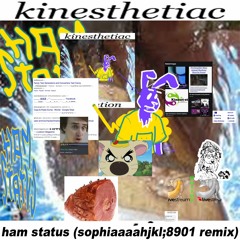 Kinesthetiac - Ham Status (Sophiaaaahjkl;8901 Remix) [2020]