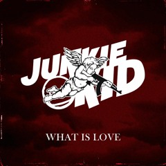 JUNKIE KID - WHAT IS LOVE