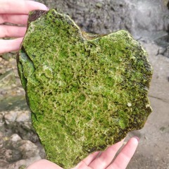 все возможно