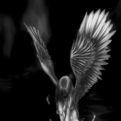 lleva sangre en los labios