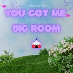 You Got Me - Big Room