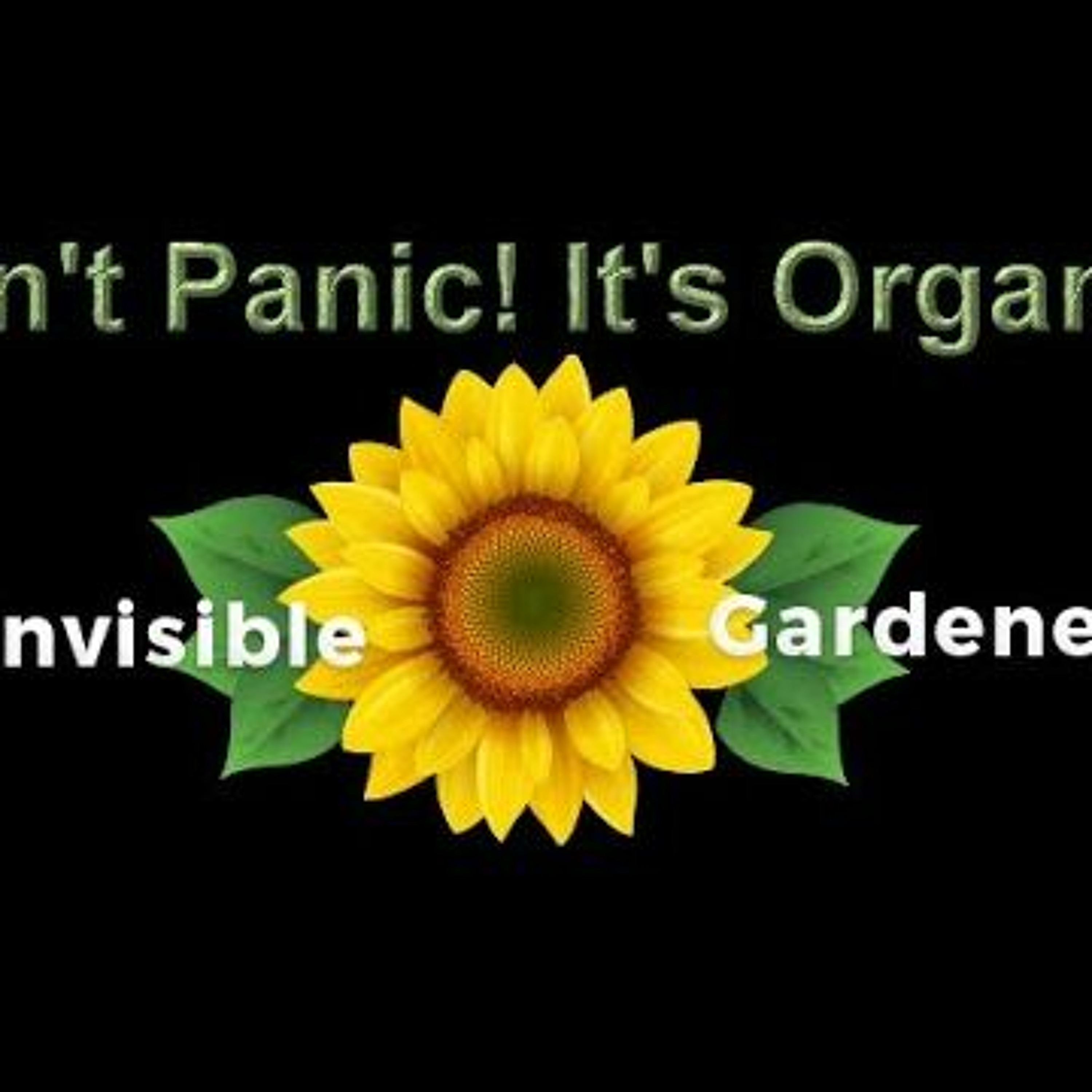 Dont - Panic - Its - Organic 2020 - 08 - 29 episode artwork