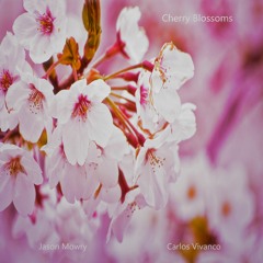 Cherry Blossoms by Jason Mowry & Carlos Vivanco