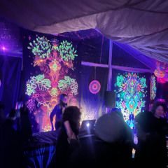 Dunedin Winter Solstice Warm Zone- 21Jun2025