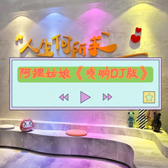 阿狸姑娘 (唢呐DJ版)