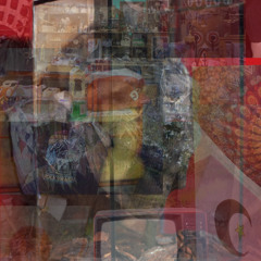 mushr00mtrip1.2