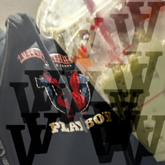 veiledvisions - time gone (vv)