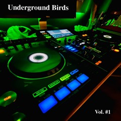 Underground Birds - Tech House Mix - Vol. #1