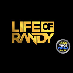 The Indian Mashup (Live Mix) - DJ Randy
