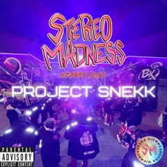 Stereo Madness (Hjemmesnekk) [feat. Beer, Armani Gucci, Heggern, lil geeza, Zestian & Hemma]
