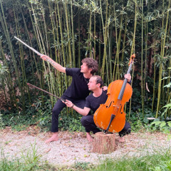 Le Bâteau Baleine (Feat. Paul Poupinet Violoncelle) - Arthur Levy