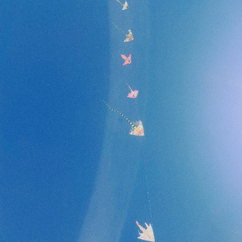 dawn waves