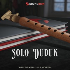 David Shaw - By The Valkyries - Soundiron Solo Duduk