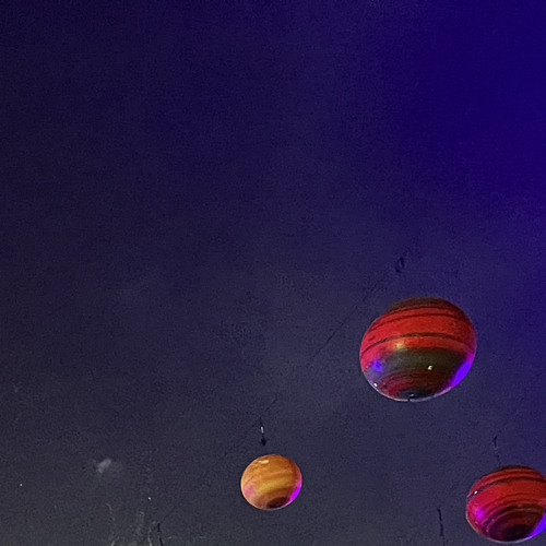 a group of gorillas arguing amongst themselves are ambushed by angry bumblebees