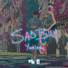 Sad Boy
