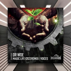 Dr Woe - Voices [Insomnious Music] PREMIERE