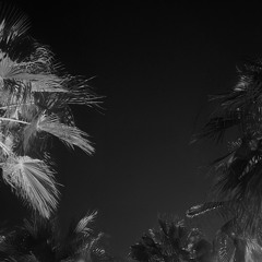 أعطيتك القلب وقلت يفداك