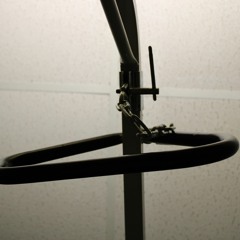 HOLY SXHT - SIMBABOSSUPP