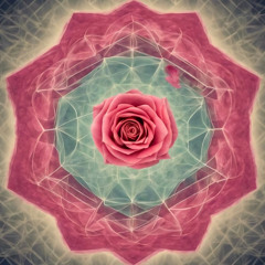 Rosa Rosa (live looping composition)