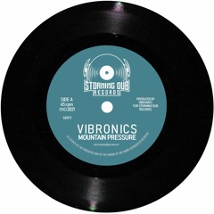 Sample Mountain Pressure + Mountain Dub VIBRONICS Storming Dub Records
