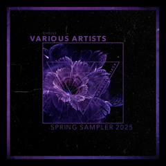VA - Spring Sampler 2025 [WHB261]