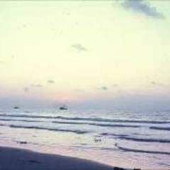 Shannon Hoon - From Shannon To You And You And You (Full Album)