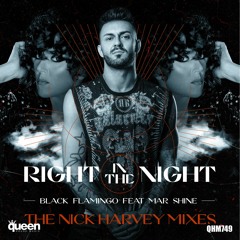 Black Flamingo Feat. Mar Shine - "Right In The Night" (Nick Harvey Reconstruction Mix) PREVIEW