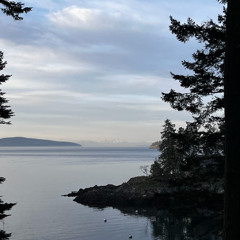 An Austin Summer Day