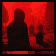 [PRVA008]  HAKKETT - MR DJ