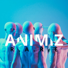Animiz (original mix)