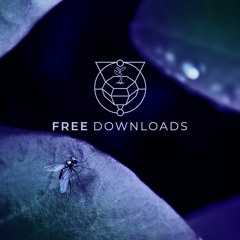 • Stone Seed • Free Downloads •