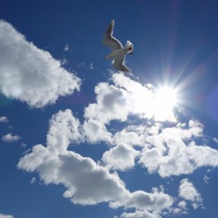 Shout To The Lord by Hillsong