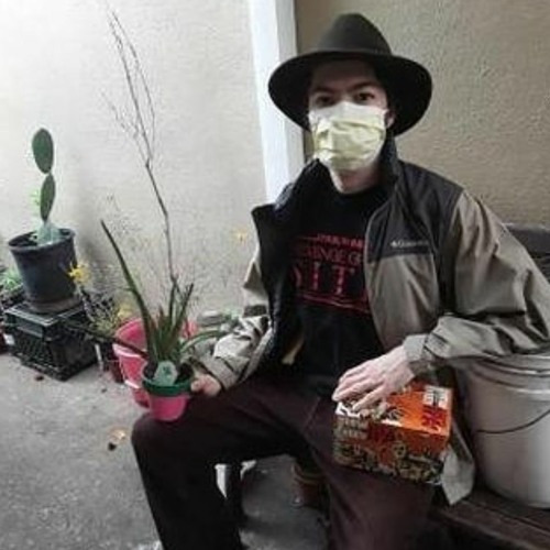 cucumberalligator2020